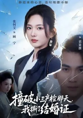 撞破小三产检那天,我撕了结婚证